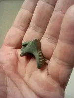 2015072921423200.webp