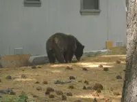 DSCN5347.webp