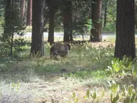 DSCN5352.webp