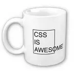 CSS.webp