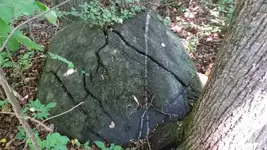 1438815154097.webp