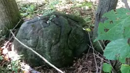 1438815173362.webp