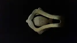 1438815384947.webp