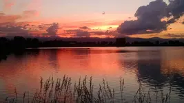 erie lake D sunset.webp