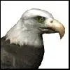 avatar12_2.webp
