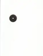 coin.webp