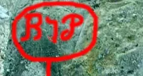 index copy.webp