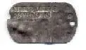 dog tag.webp