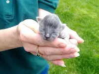 2006_0425Image0003.webp