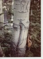 Spanishcrosses_001.webp