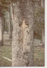 Spanishcrosses_002.webp