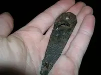 ironthingnoidea (1).webp