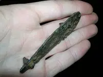 ironthingnoidea (2).webp
