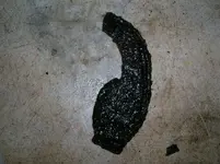 halfhorseshoes (1).webp