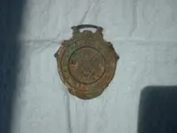 metal detector 019.webp