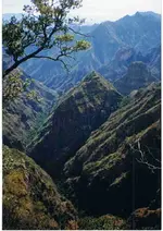 Tayopa canyon looking S. Capilla was on flat spot on topo f ridge.jpg ?.webp