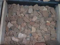 Dcp_0002 copy.webp