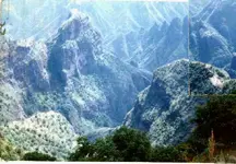 .jpgParamo.webp