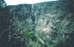 Saw mill above Tayopa?.webp