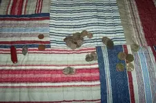 000_0485.webp