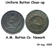 Button Closeup.webp