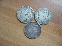 3 Morgans.webp