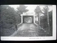 31.webp