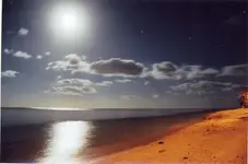 night_ocean.webp