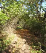 IMG_0844.webp IMG_0844.webp