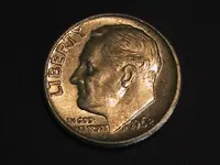silver rosie july 22.webp