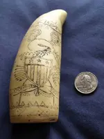 scrimshaw front.webp scrimshaw front.webp