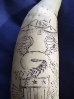 scrimshaw front detail.webp scrimshaw front detail.webp