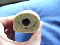 scrimshaw bottom.webp scrimshaw bottom.webp