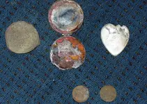 finds.webp