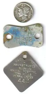 silver100 (2).webp