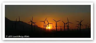 windmills.webp