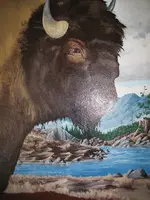 buffalo (6).webp