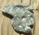 DSCF0215.webp