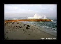 lajolla1.webp