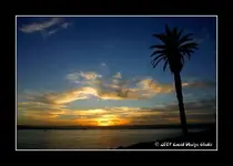 SDsunset2.webp