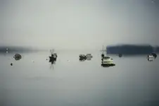 020_19watercolorish.webp