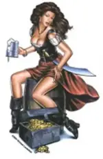 gypsy heart.webp