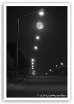 moon&streetlights.webp
