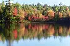 fall1.webp