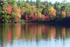 fall3.webp