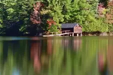 fall4.webp