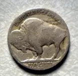 buffalo1 (3).webp