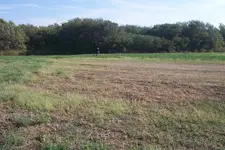 100_3706.webp