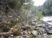 feather river 11 11 07 004.webp