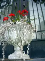 DSCN2572_edited.webp
